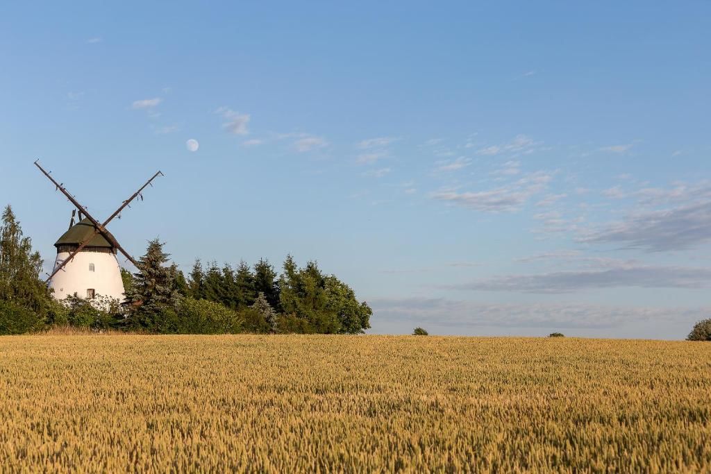 Дома для отпуска Windmill vacation home in Ledzin near Baltic Sea Нехоже-106