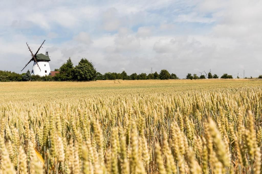 Дома для отпуска Windmill vacation home in Ledzin near Baltic Sea Нехоже-108