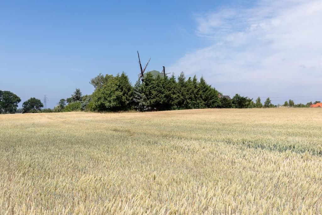Дома для отпуска Windmill vacation home in Ledzin near Baltic Sea Нехоже-153