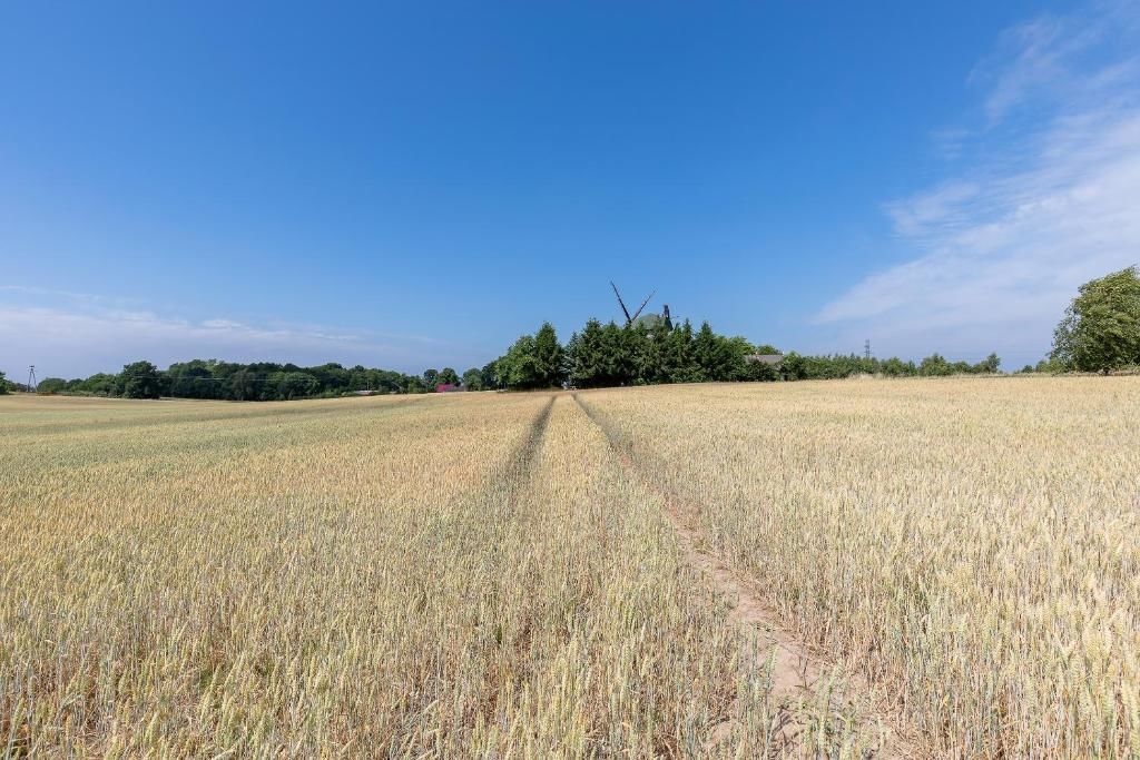 Дома для отпуска Windmill vacation home in Ledzin near Baltic Sea Нехоже-155
