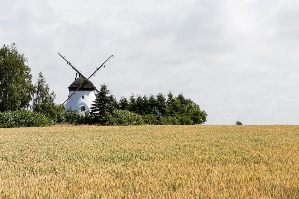 Дома для отпуска Windmill vacation home in Ledzin near Baltic Sea Нехоже-199