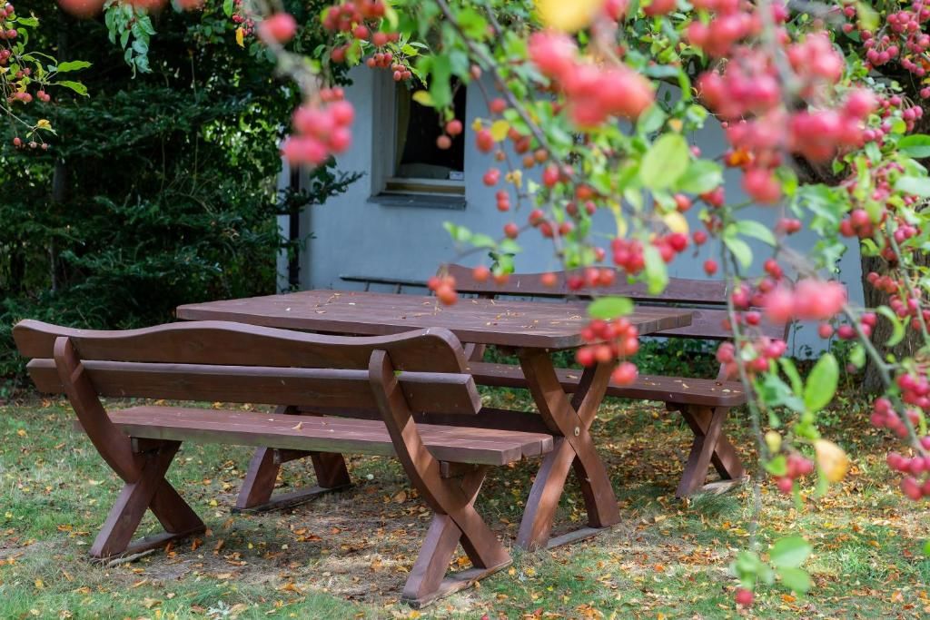 Дома для отпуска Windmill vacation home in Ledzin near Baltic Sea Нехоже-206