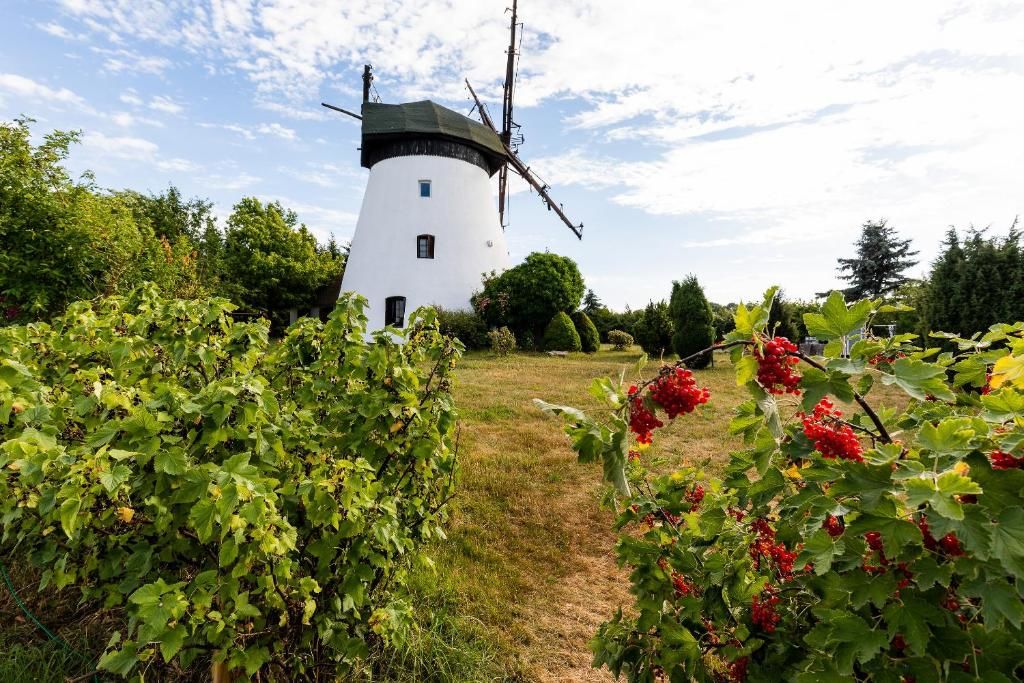 Дома для отпуска Windmill vacation home in Ledzin near Baltic Sea Нехоже-74
