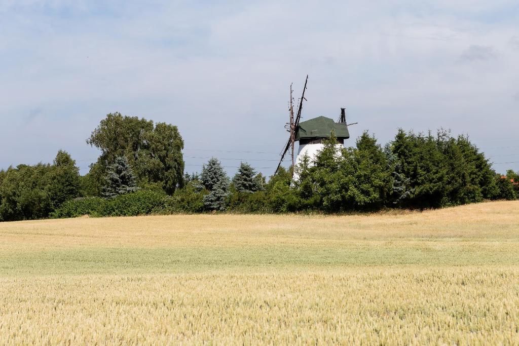 Дома для отпуска Windmill vacation home in Ledzin near Baltic Sea Нехоже-80