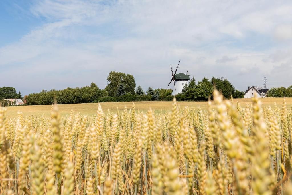 Дома для отпуска Windmill vacation home in Ledzin near Baltic Sea Нехоже-86