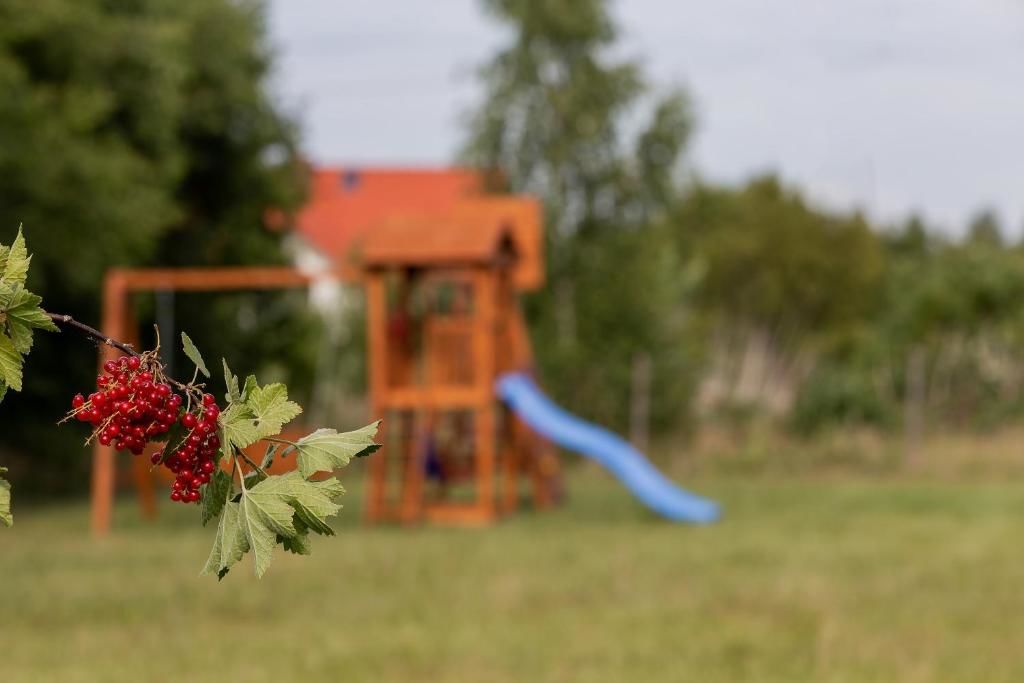 Дома для отпуска Windmill vacation home in Ledzin near Baltic Sea Нехоже-100