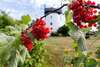Дома для отпуска Windmill vacation home in Ledzin near Baltic Sea Нехоже-6