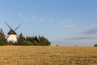 Дома для отпуска Windmill vacation home in Ledzin near Baltic Sea Нехоже Six-Bedroom House (mill)-100