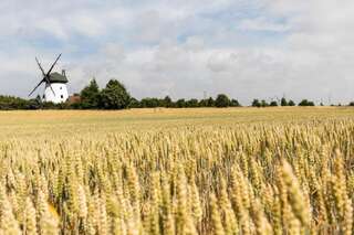 Дома для отпуска Windmill vacation home in Ledzin near Baltic Sea Нехоже Six-Bedroom House (mill)-102