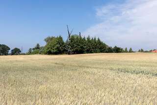 Дома для отпуска Windmill vacation home in Ledzin near Baltic Sea Нехоже Six-Bedroom House (mill)-147