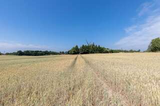 Дома для отпуска Windmill vacation home in Ledzin near Baltic Sea Нехоже Six-Bedroom House (mill)-149