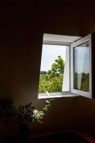 Дома для отпуска Windmill vacation home in Ledzin near Baltic Sea Нехоже Six-Bedroom House (mill)-170