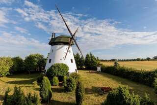 Дома для отпуска Windmill vacation home in Ledzin near Baltic Sea Нехоже Six-Bedroom House (mill)-186