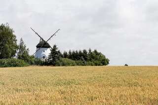 Дома для отпуска Windmill vacation home in Ledzin near Baltic Sea Нехоже Six-Bedroom House (mill)-193