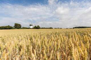 Дома для отпуска Windmill vacation home in Ledzin near Baltic Sea Нехоже Six-Bedroom House (mill)-196