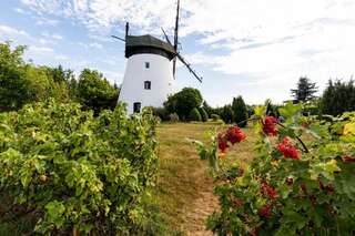 Дома для отпуска Windmill vacation home in Ledzin near Baltic Sea Нехоже Six-Bedroom House (mill)-68