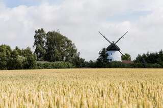Дома для отпуска Windmill vacation home in Ledzin near Baltic Sea Нехоже Six-Bedroom House (mill)-72