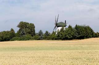 Дома для отпуска Windmill vacation home in Ledzin near Baltic Sea Нехоже Six-Bedroom House (mill)-74