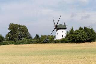 Дома для отпуска Windmill vacation home in Ledzin near Baltic Sea Нехоже Six-Bedroom House (mill)-75
