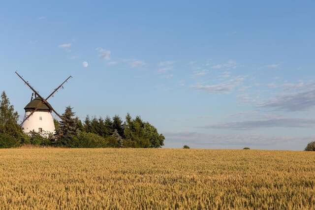 Дома для отпуска Windmill vacation home in Ledzin near Baltic Sea Нехоже-105